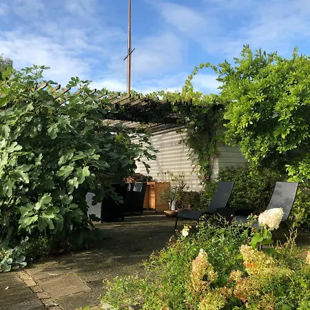 De Nieuwendijk Zuid-Beijerland