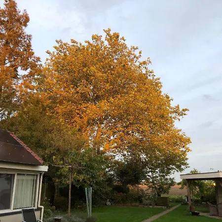 De Nieuwendijk Oda ve Kahvaltı *