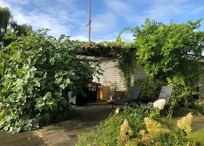 De Nieuwendijk Zuid-Beijerland