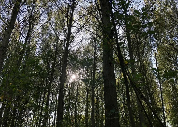 De Nieuwendijk فندق مبيت وإفطار *