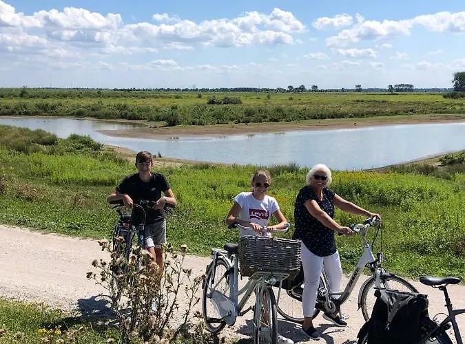 De Nieuwendijk * Zuid-Beijerland