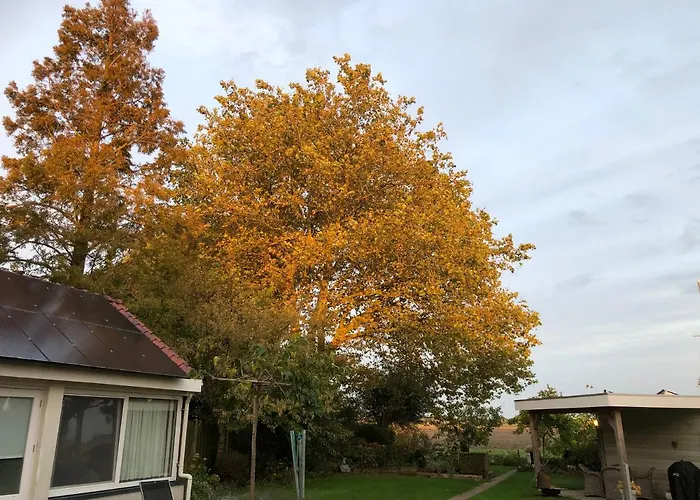 De Nieuwendijk فندق مبيت وإفطار *