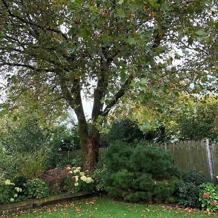 De Nieuwendijk * Zuid-Beijerland