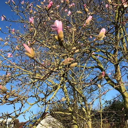 De Nieuwendijk Alojamento de Acomodação e Pequeno-almoço *