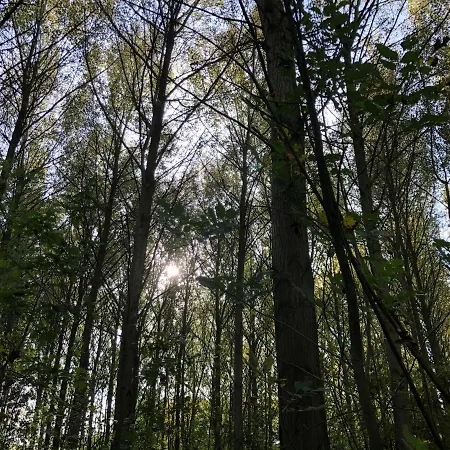 De Nieuwendijk Alojamento de Acomodação e Pequeno-almoço *