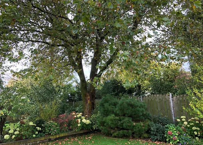 De Nieuwendijk * Zuid-Beijerland