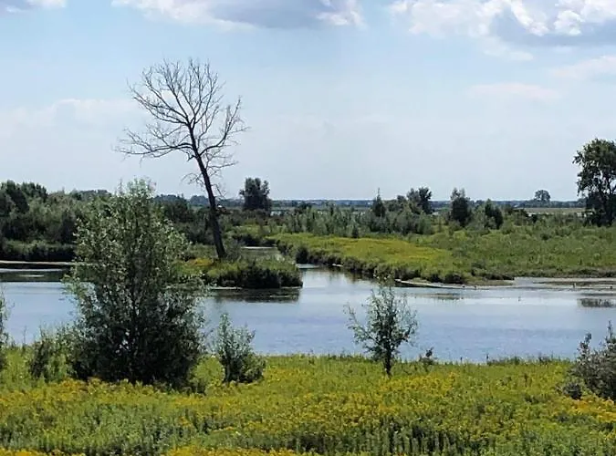De Nieuwendijk Bed & Breakfast *